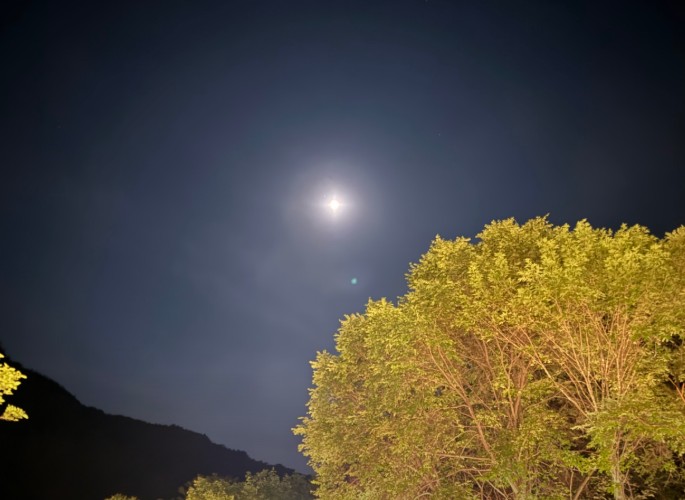 꿈을드림캠핑장 이미지 6