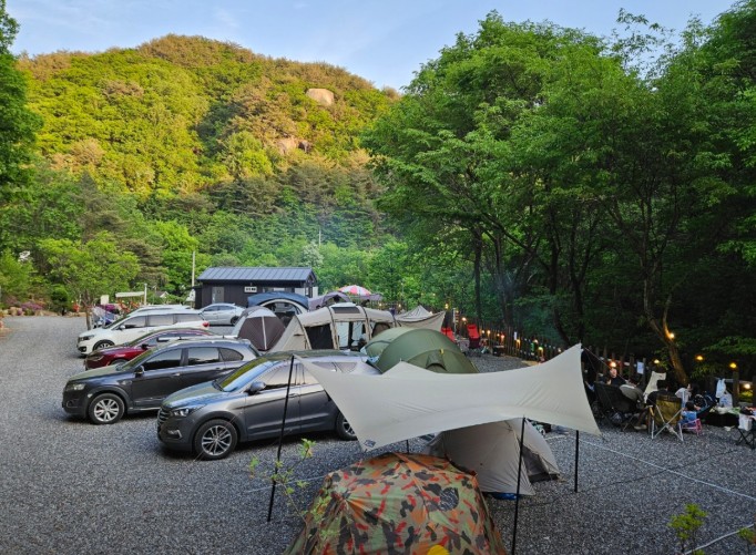 꿈을드림캠핑장 이미지 2