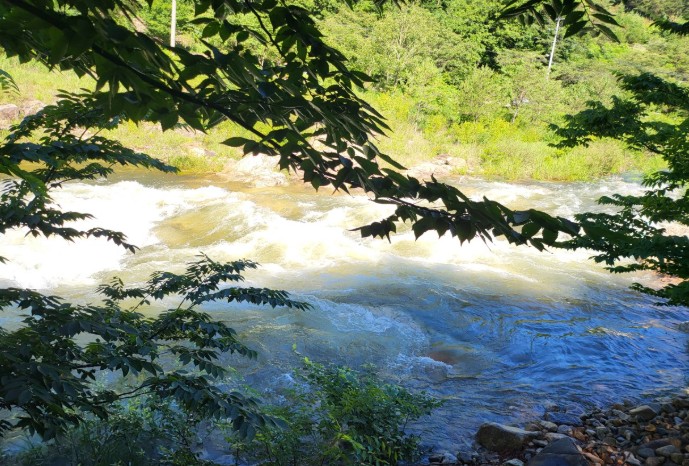 영월 스카이 펜션&캠핑장 이미지 1