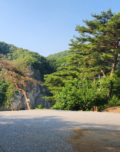 영월한반도캠핑장 이미지 1