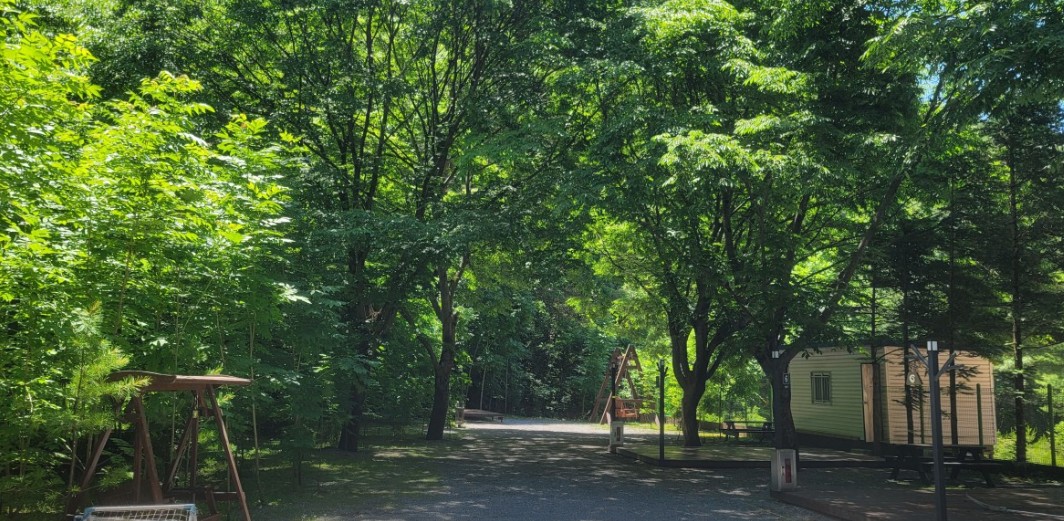 영월 가자 캠핑장 이미지 8