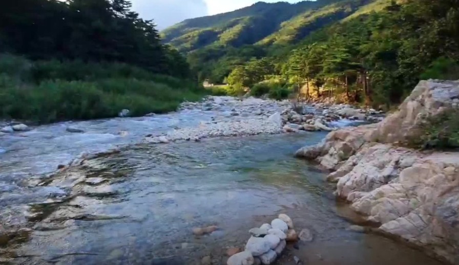 오색산새소리캠핑장 이미지 1