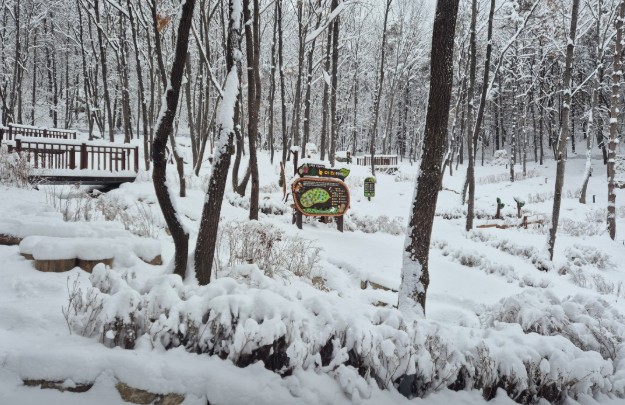 성북동숲속야영장 이미지 5