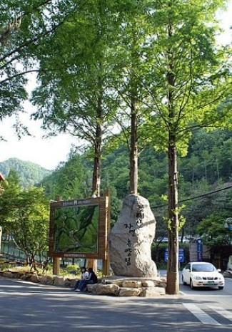 장태산자연휴양림 이미지 1