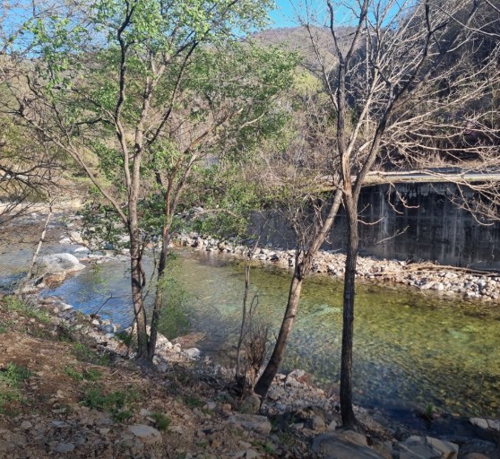 수복캠핑장 이미지 4