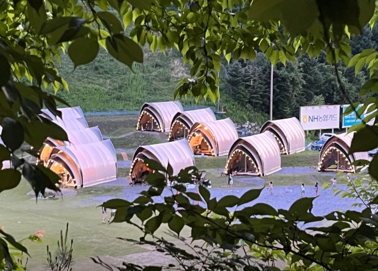 엘리시안 강촌 캠핑파크 이미지 2