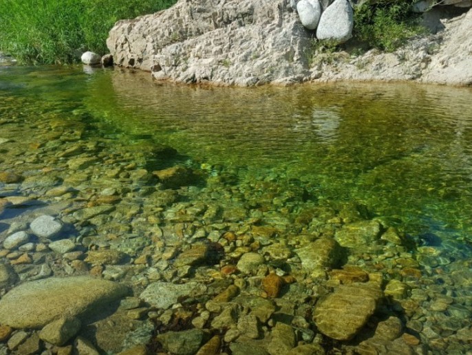 오색산새소리캠핑장 이미지 5