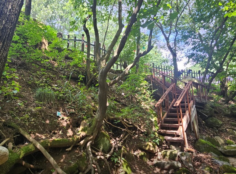 꿈을드림캠핑장 이미지 8