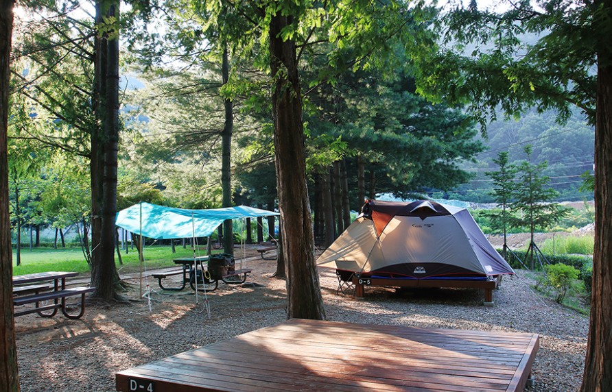 대전 상소오토캠핑장 이미지 1