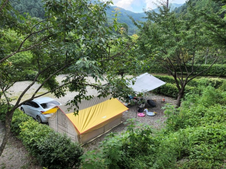 춘천캠핑월드 이미지 6