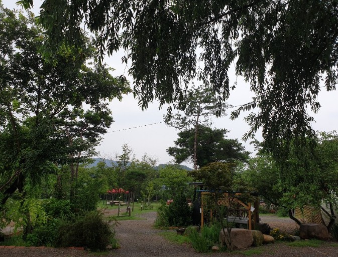 용천수캠핑장 이미지 7