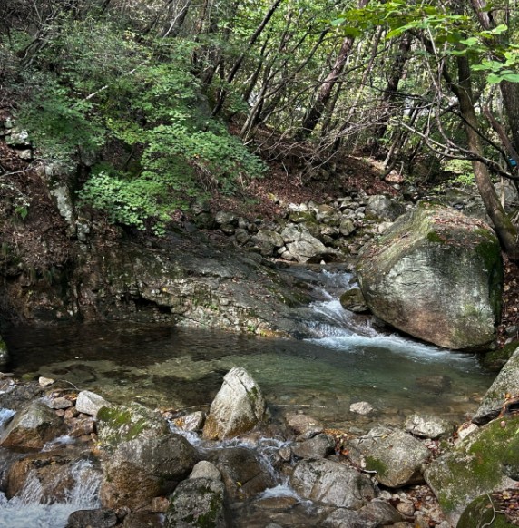 꿈을드림캠핑장 이미지 3