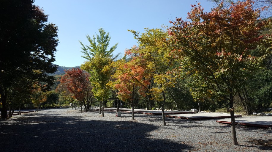 포천 뉴힐링캠핑장 이미지 9