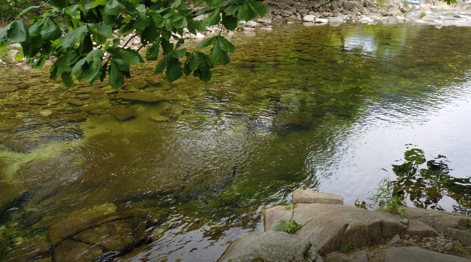 별이빛나는밤에 글램핑 이미지 8