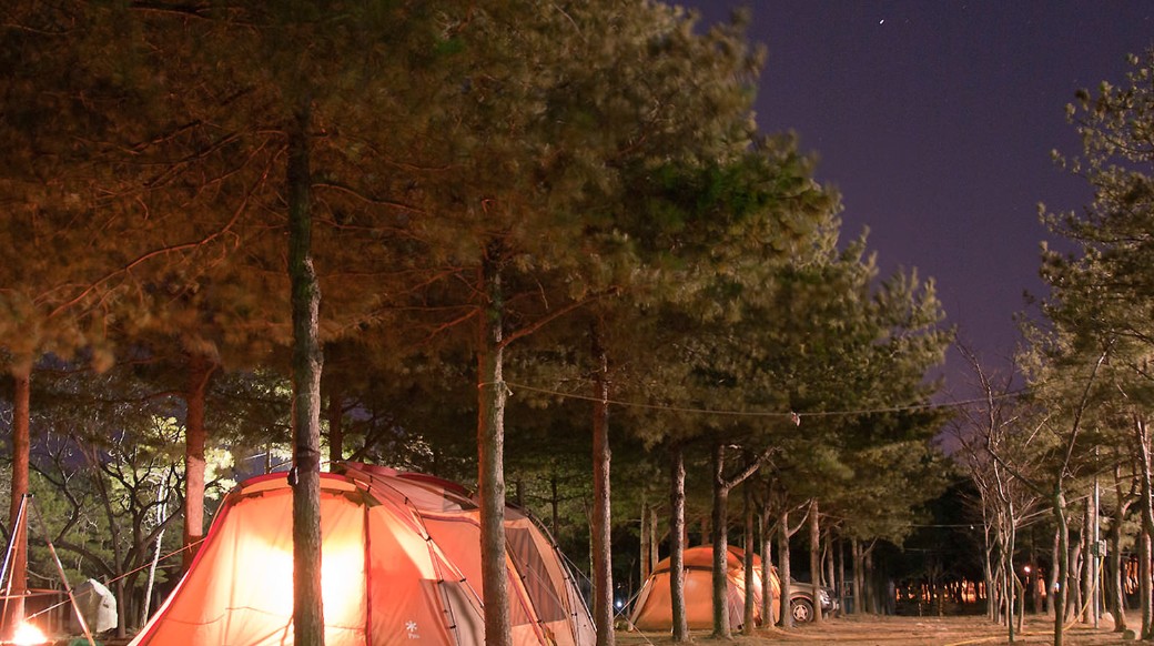 양양 솔밭가족캠프촌 이미지 7