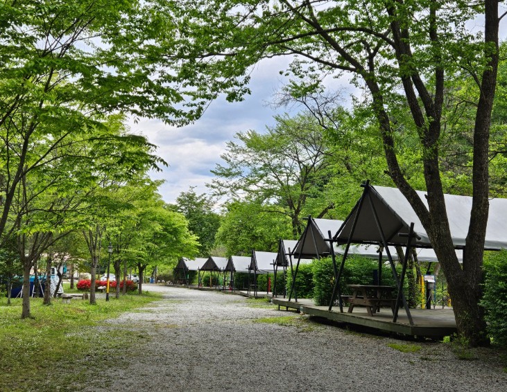 춘천캠핑월드 이미지 3