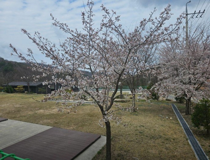 토함산 마이웨이야영장 이미지 4