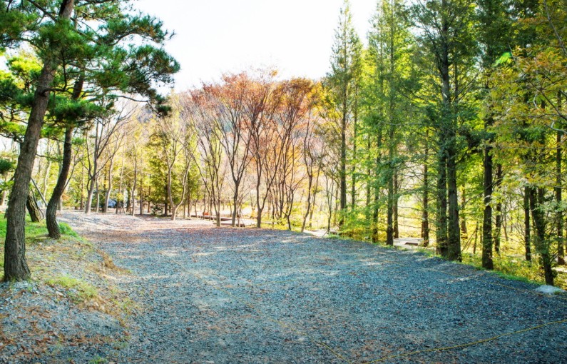 노꼬담꼬 이미지 2