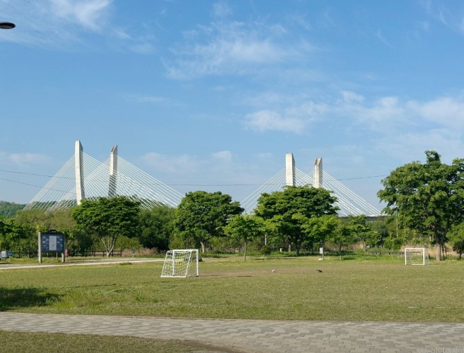 세종 합강캠핑장 이미지 2