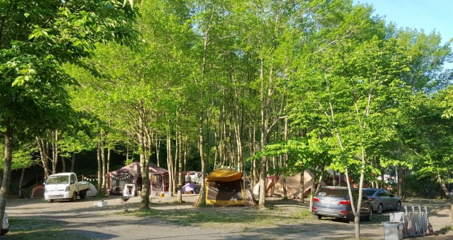 곤달비캠프 이미지 4