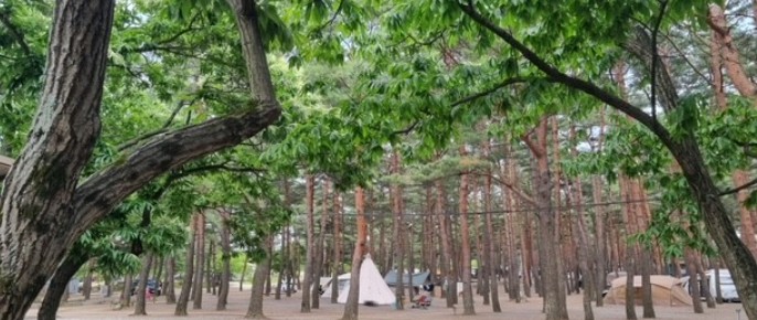 양양캠프장 이미지 4