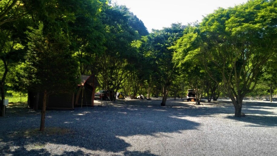 영월 하얀여울캠핑장 이미지 3