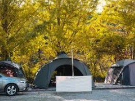 쿠키오토캠핑장 이미지 1