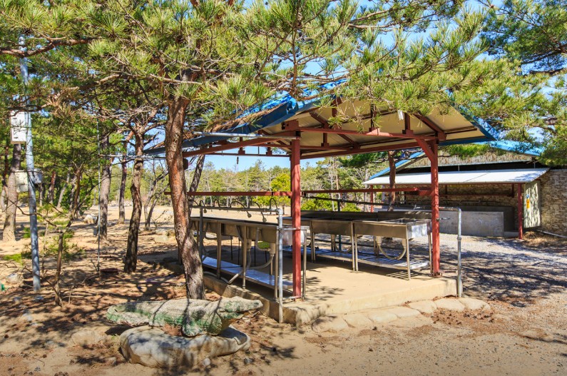 양양 솔밭가족캠프촌 이미지 2