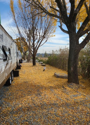 세종 블루문오토캠핑 이미지 5