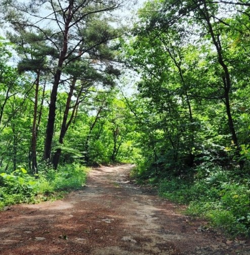 용화산테마파크캠핑장 이미지 7