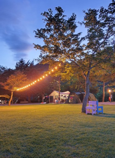 영월 뜨란솔 캠핑장 이미지 5