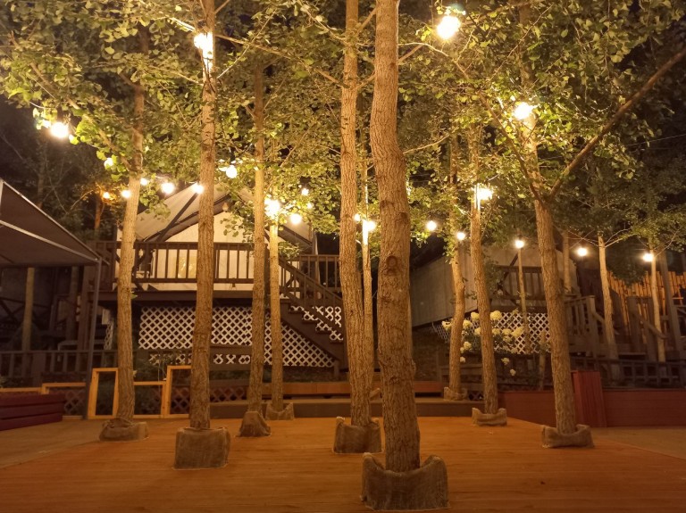 옐로우힐 이미지 12