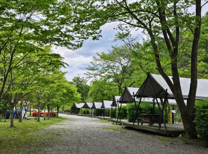 춘천캠핑월드 이미지 3