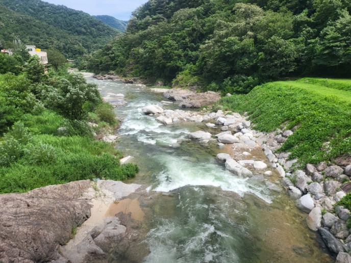 오색장군바위오토캠핑장 이미지 3