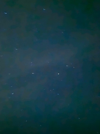 대전 오로라글램핑 펜션 이미지 4