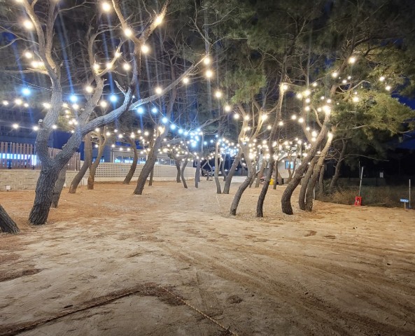 을왕리 솔트 캠핑장 이미지 6