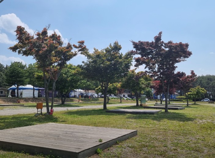양양 바다캠핑장 이미지 9