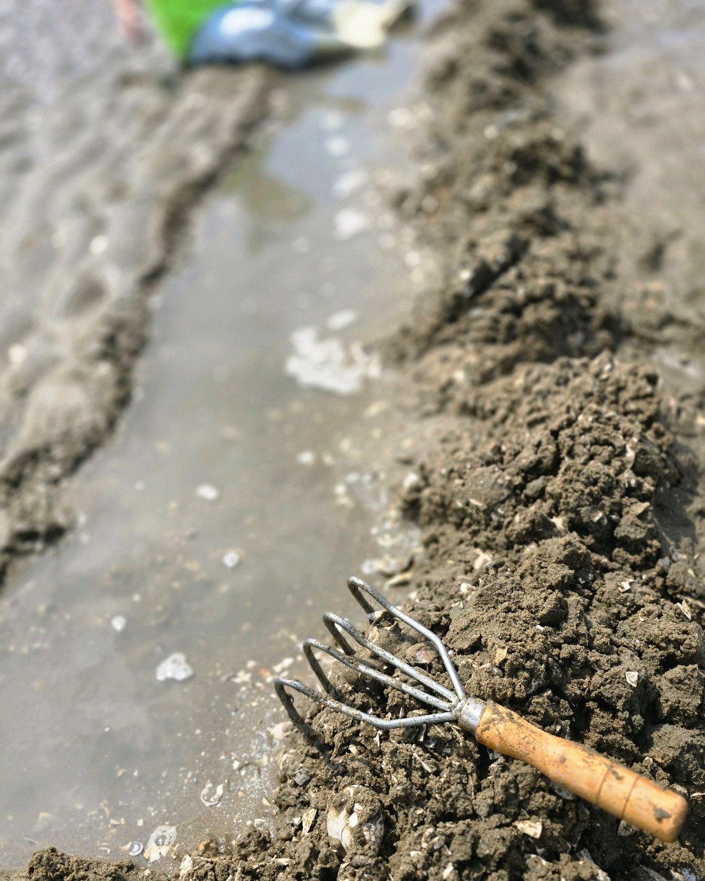 마시안자율관리공동체 (마시안 갯벌체험) 이미지 9