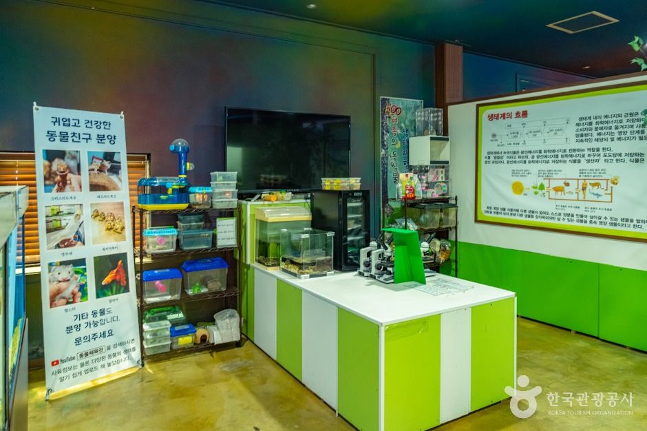 자연아놀자 체험학습박물관 이미지 9