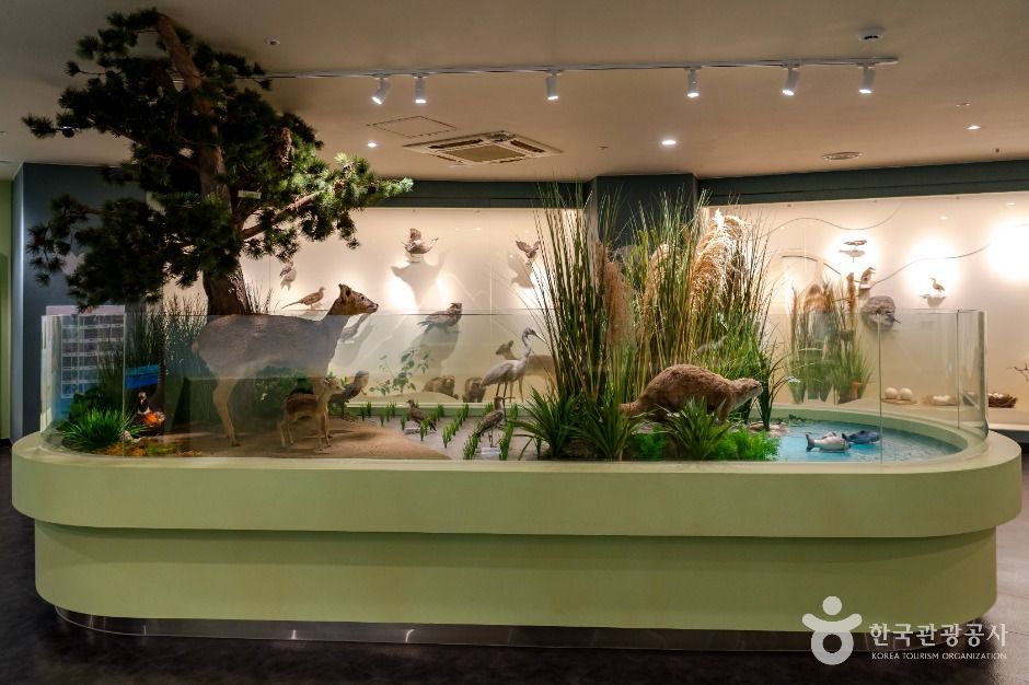 서천군 조류생태전시관 이미지 2