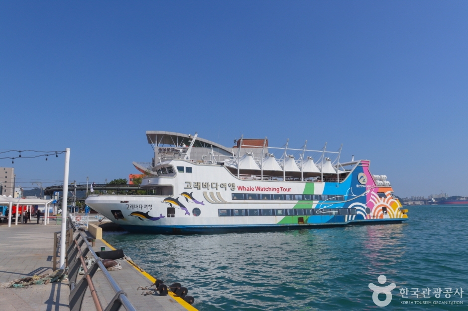 장생포 고래바다여행선 이미지 2