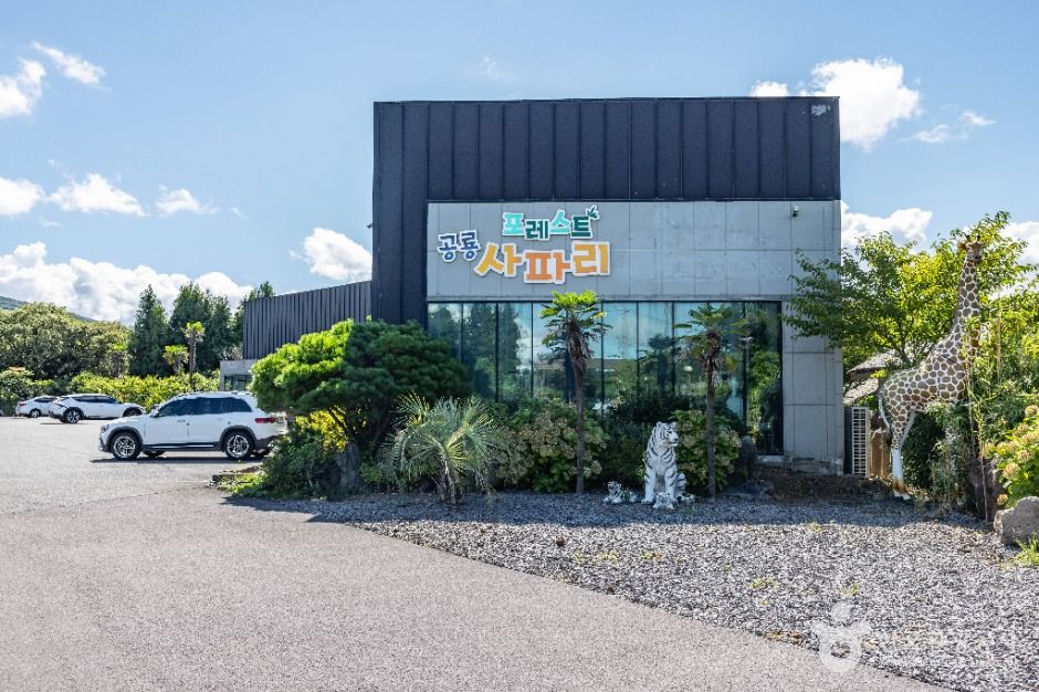 포레스트 공룡사파리 이미지 7