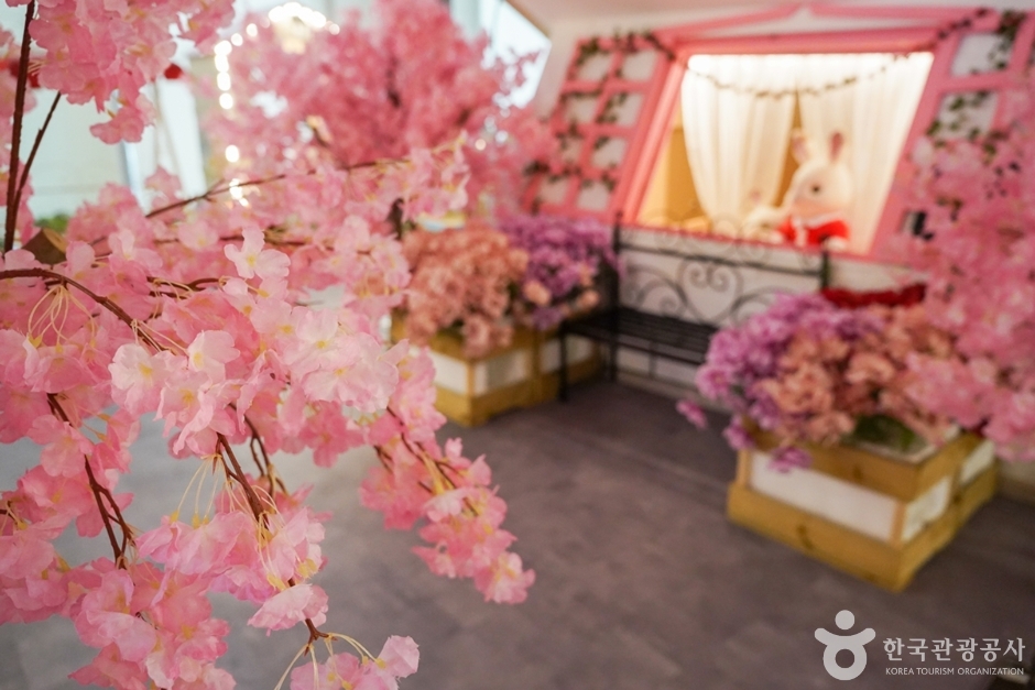 바니베어 뮤지엄 이미지 2