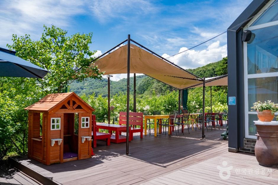 도토리숲 키즈파크 이미지 5