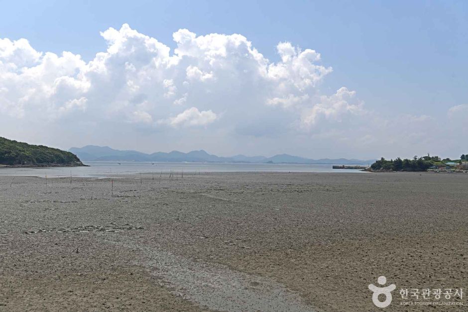 모항갯벌체험장 이미지 2