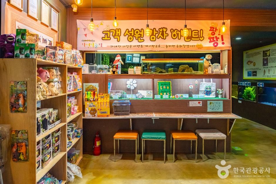 자연아놀자 체험학습박물관 이미지 7