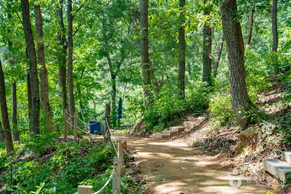 도토리숲 키즈파크 이미지 8