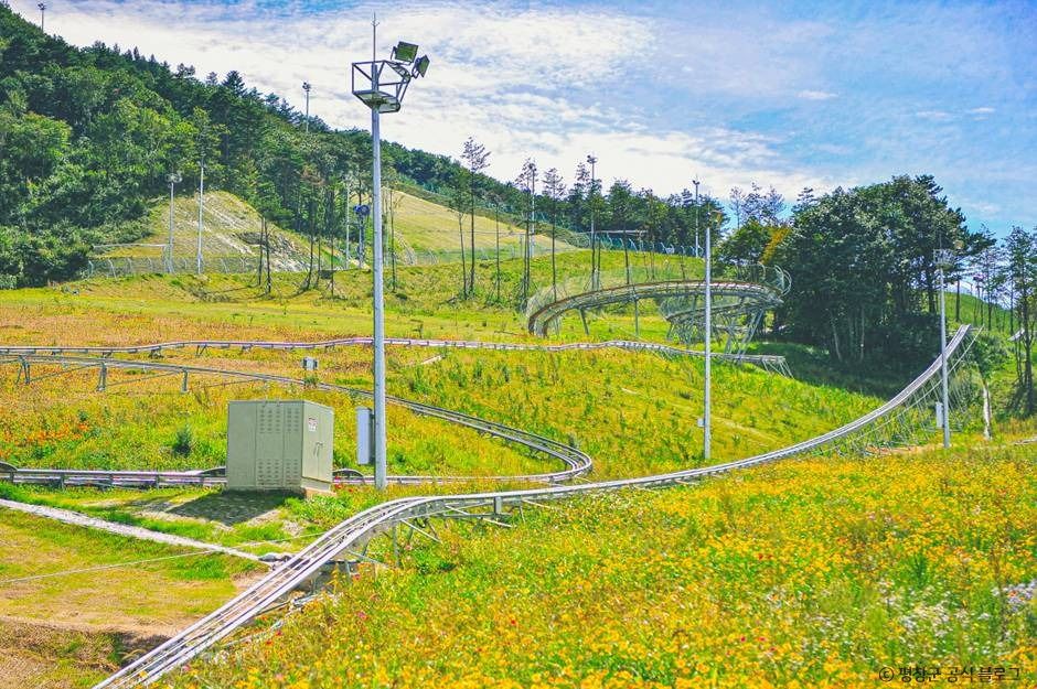 알펜시아 알파인코스터 이미지 3