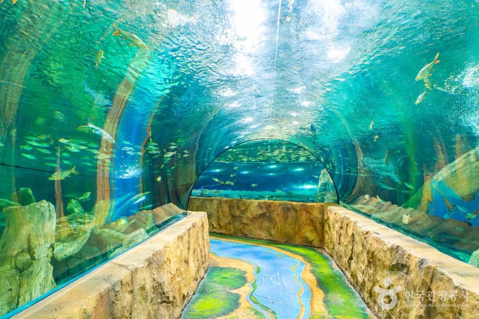 플레이 아쿠아리움 부천 이미지 2