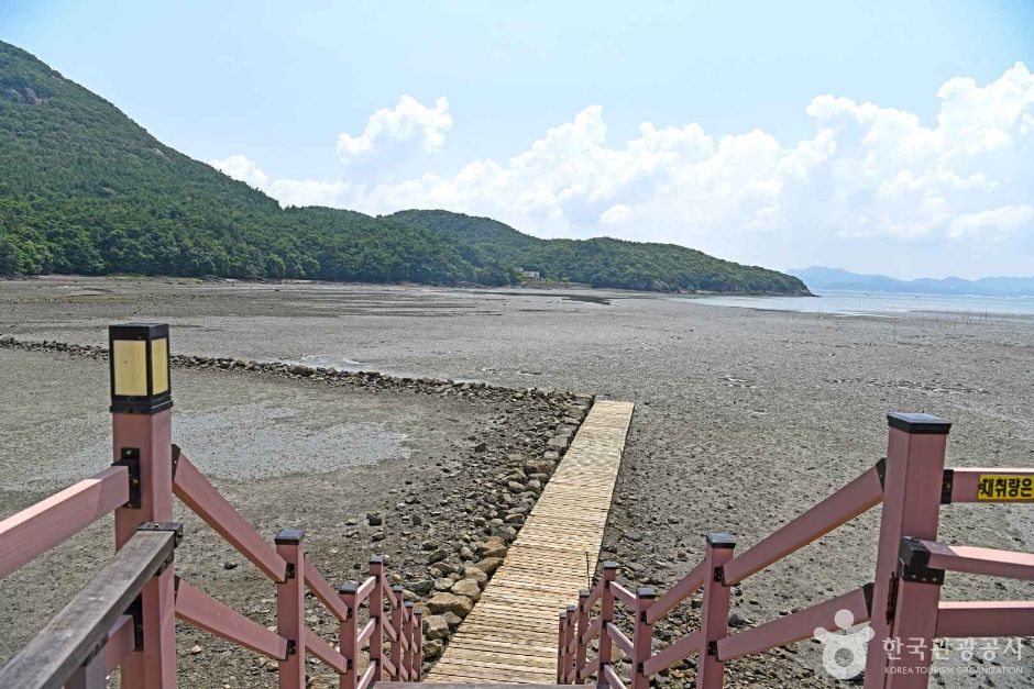 모항갯벌체험장 이미지 3